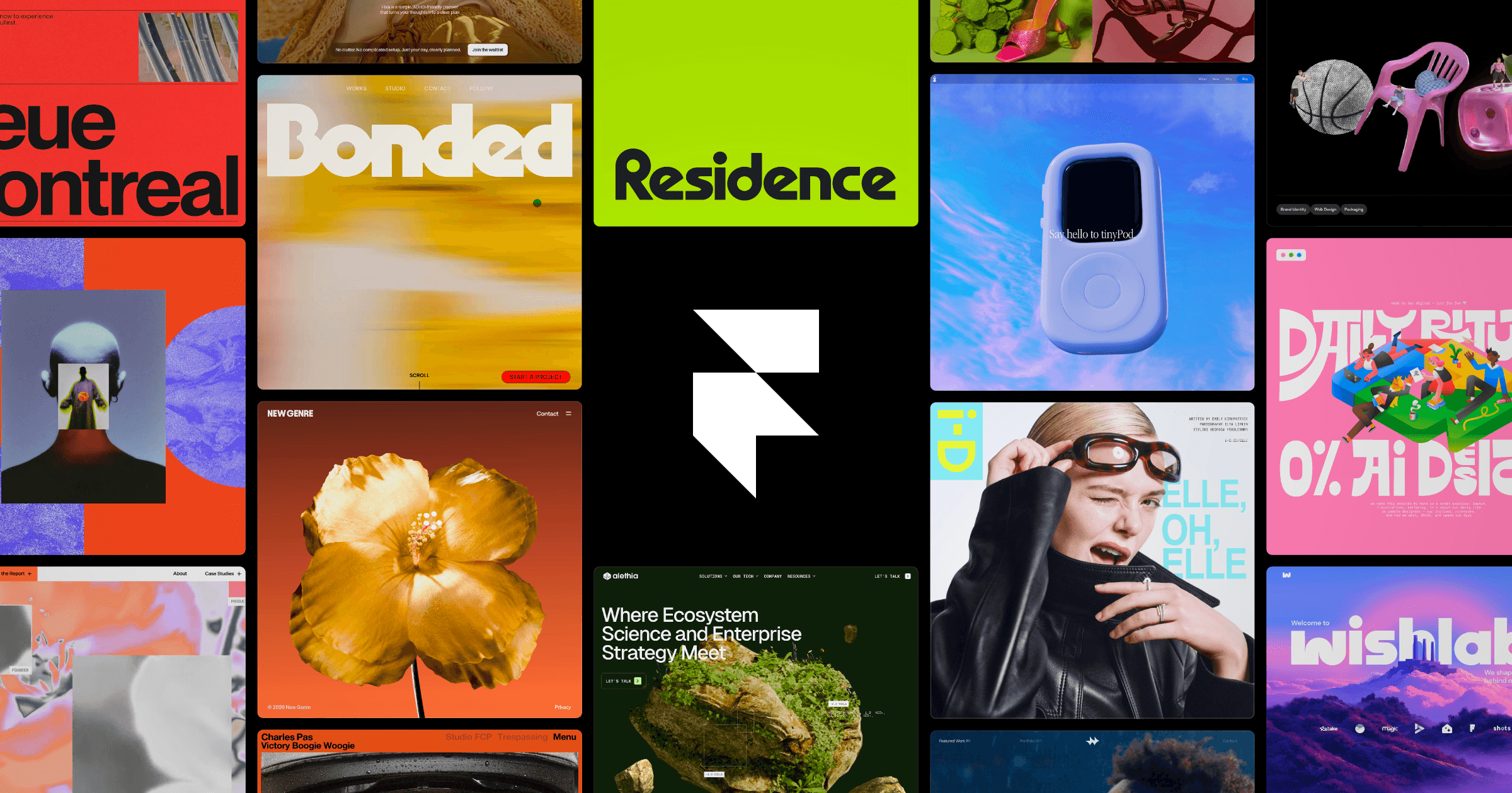 Framer website builder